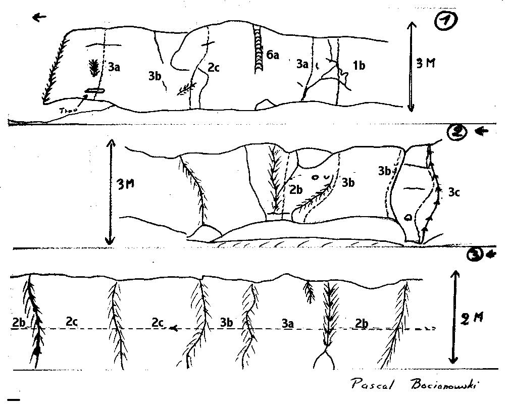 aigre2.gif (20538 octets)