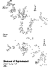 envapre.TIF (67278 octets)
