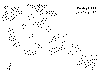 finoran.TIF (67590 octets)
